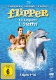 Flipper - Staffel 01 (Blu-ray Disc)