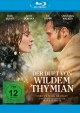 Der Duft von wildem Thymian (Blu-ray Disc)