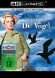 Die Vgel - 4K (4K UHD+Blu-ray Disc)