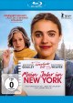Mein Jahr in New York (Blu-ray Disc)