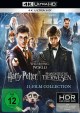 Wizarding World - (4K UHD) 11-Film Collection
