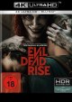 Evil Dead Rise (4K UHD+Blu-ray Disc)