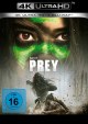 Prey (4K UHD+Blu-ray Disc)