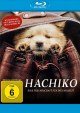 Hachiko - Eine Freundschaft fr die Ewigkeit! - 2023 (Blu-ray Disc)