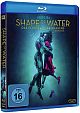 Shape of Water: Das Flstern des Wassers (Blu-ray Disc)