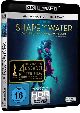 Shape of Water: Das Flstern des Wassers - 4K (4K UHD+Blu-ray Disc)