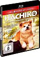 Hachiko - Wahre Freundschaft whrt ewig (Blu-ray Disc)