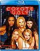 Coyote Ugly (Blu-ray Disc)