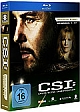 CSI Crime Scene Investigation - Staffel 8 (Blu-ray Disc)