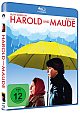 Harold und Maude (Blu-ray Disc)