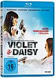 Violet & Daisy (Blu-ray Disc)