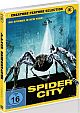 Creature Feature Selection: Spider City