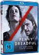 Penny Dreadful - Season 2 (Blu-ray Disc)