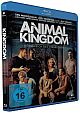 Animal Kingdom - Knigreich des Verbrechens (Blu-ray Disc)