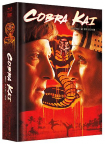 Cobra Kai - Staffel 01+02 - Limited Uncut 500 Edition (4x DVD+4x Blu-ray Disc) - Mediabook