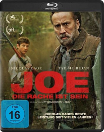 Joe - Die Rache ist sein (Blu-ray Disc)