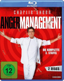Anger Management - Staffel 3 (Blu-ray Disc)