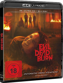 Evil Dead Burn (4K UHD+Blu-ray Disc)