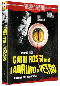 Labyrinth des Schreckens - Limited Uncut Edition (4K UHD+Blu-ray Disc+CD) - Mediabook - Cover A