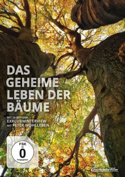 Das geheime Leben der Bäume - Limited Edition (Blu-ray Disc) - Mediabook