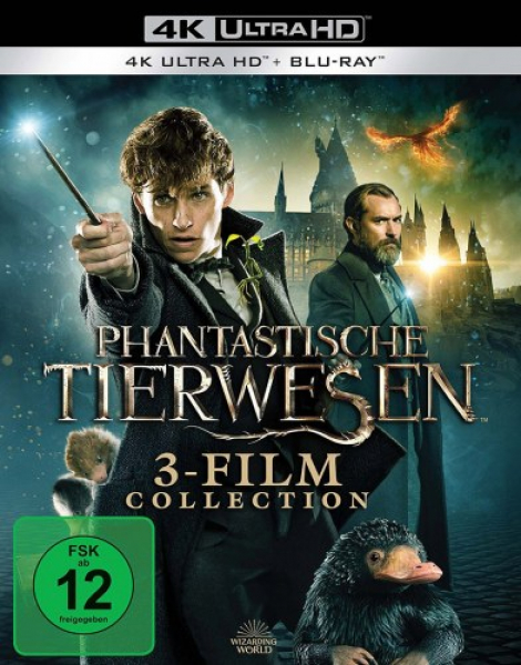 Phantastische Tierwesen - 4K (4K UHD+Blu-ray Disc) 3-Film Collection
