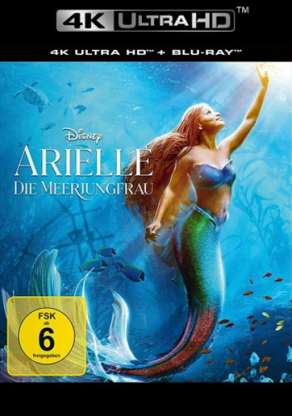 Arielle, die Meerjungfrau  (4K UHD+Blu-ray Disc)