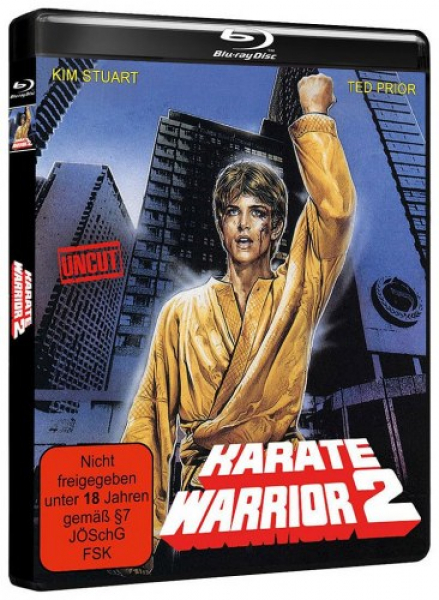 Karate Warrior 2 (Blu-ray Disc)