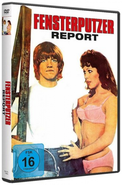 Fensterputzer-Report