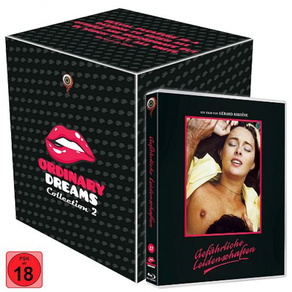 Gefährliche Leidenschaften (Blu-ray Disc) - mit Sammelschuber - Ordinary Dreams Collection 2 - Nr. 11