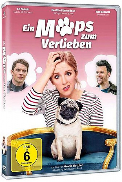 Ein Mops zum Verlieben