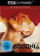 Bugonia - 4K Ultra HD Blu-ray + Blu-ray