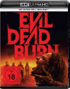 Evil Dead Burn (4K UHD+Blu-ray Disc)