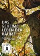Das geheime Leben der Bume - Limited Edition (Blu-ray Disc) - Mediabook
