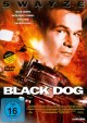 Black Dog