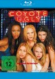 Coyote Ugly (Blu-ray Disc)