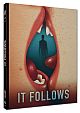 It Follows - Limited Uncut 111 Edition (DVD+Blu-ray Disc) - Mediabook - Cover E