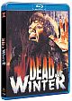Dead of Winter (Blu-ray Disc)