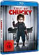 Cult of Chucky (Blu-ray Disc)
