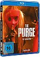 The Purge - Die Suberung - Staffel 1 (Blu-ray Disc)