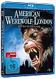 American Werewolf in London - Special Edition (Blu-ray Disc)