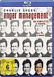 Anger Management - Staffel 2 (Blu-ray Disc)