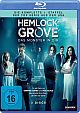 Hemlock Grove - Das Monster in Dir - Staffel 1 (Blu-ray Disc)