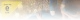 Ich wünsche mir ein Einhorn