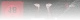 Ghost Mask: Scar