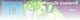 Rick and Morty - Staffel 08