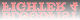 Bloodfist Fighter 4 (Ring of Fire 2) - Uncut